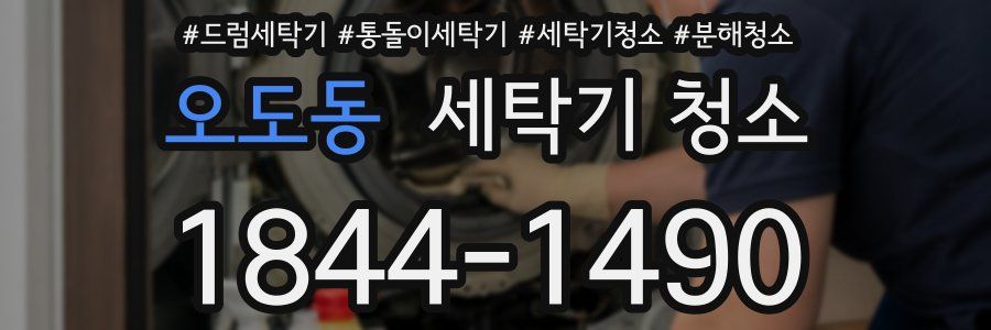 오도동 세탁기 청소