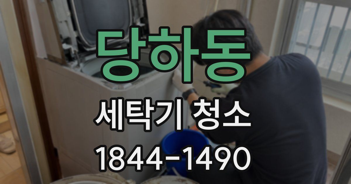 당하동 세탁기 청소