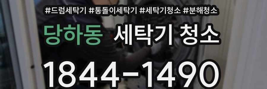 당하동 세탁기 청소
