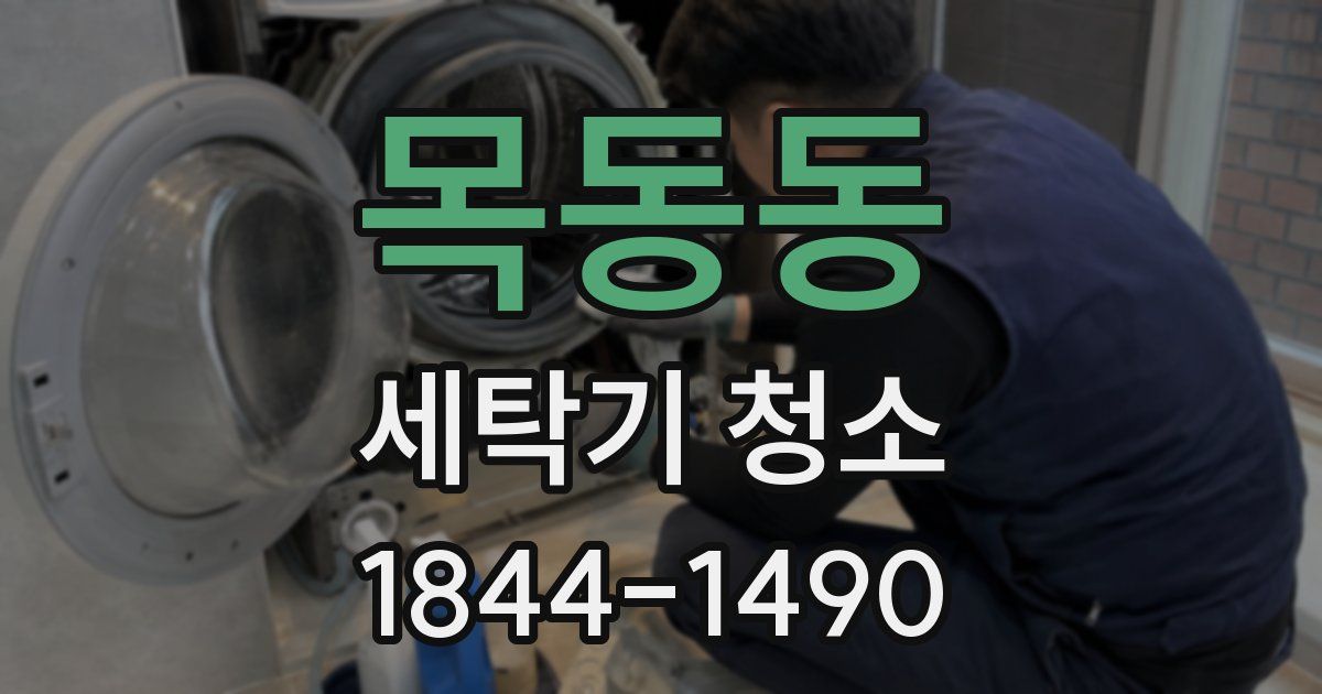목동동 세탁기 청소