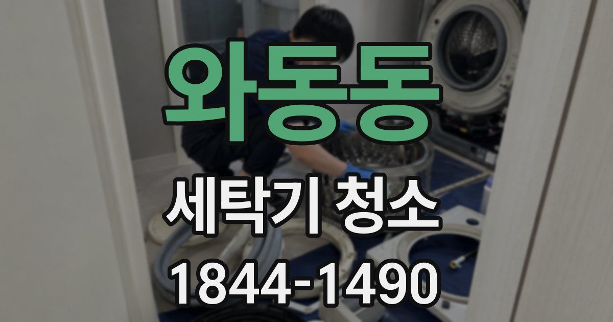 와동동 세탁기 청소