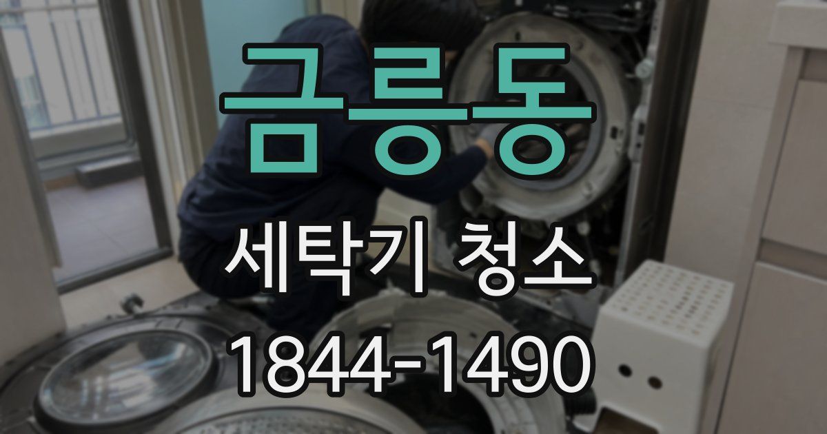 금릉동 세탁기 청소