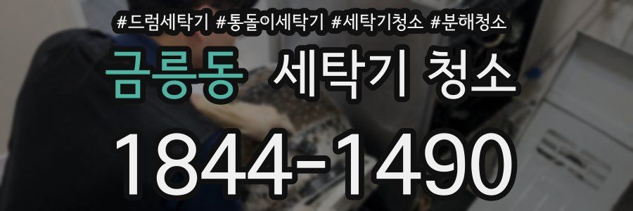 금릉동 세탁기 청소