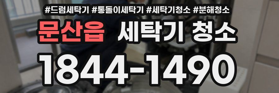 문산읍 세탁기 청소
