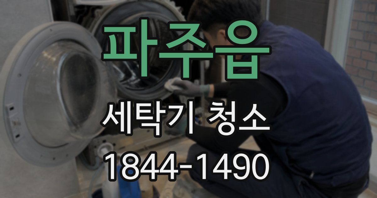 파주읍 세탁기 청소