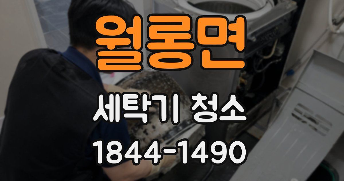 월롱면 세탁기 청소