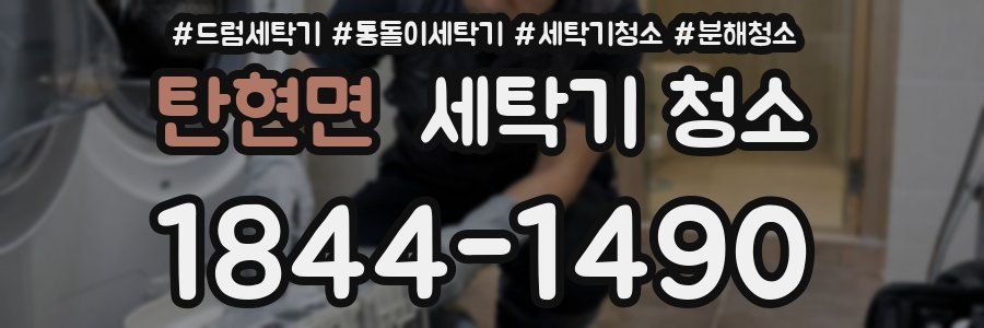 탄현면 세탁기 청소