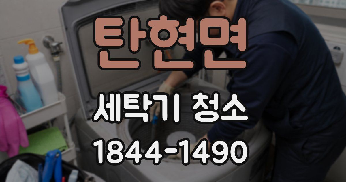 탄현면 세탁기 청소