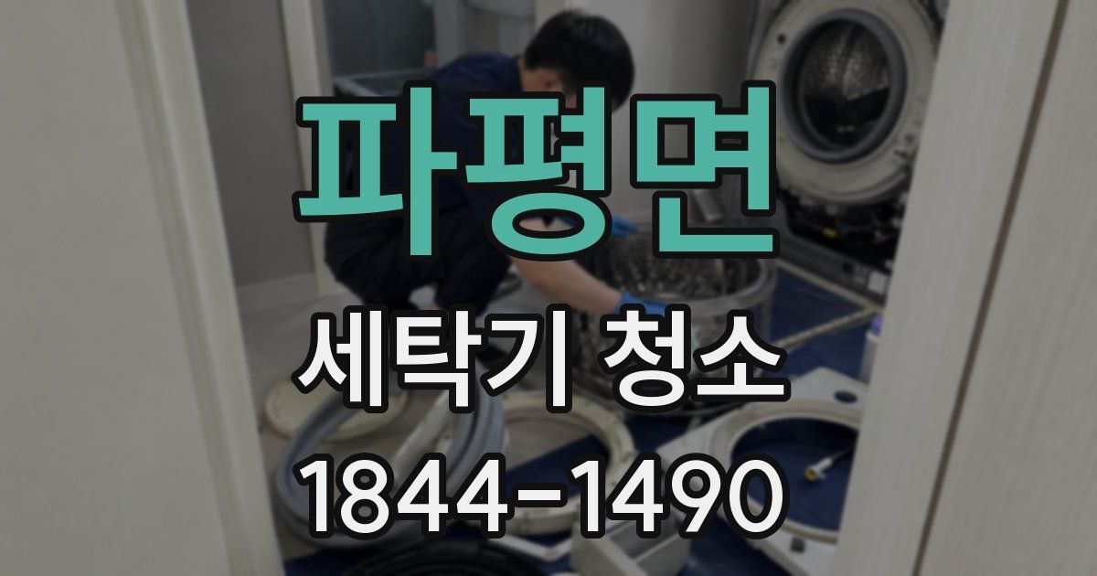 파평면 세탁기 청소