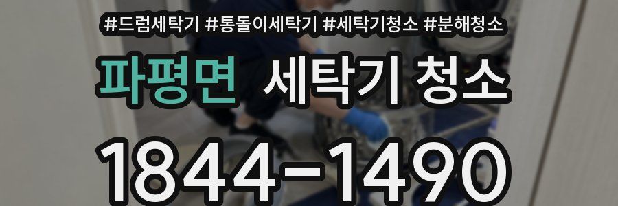 파평면 세탁기 청소