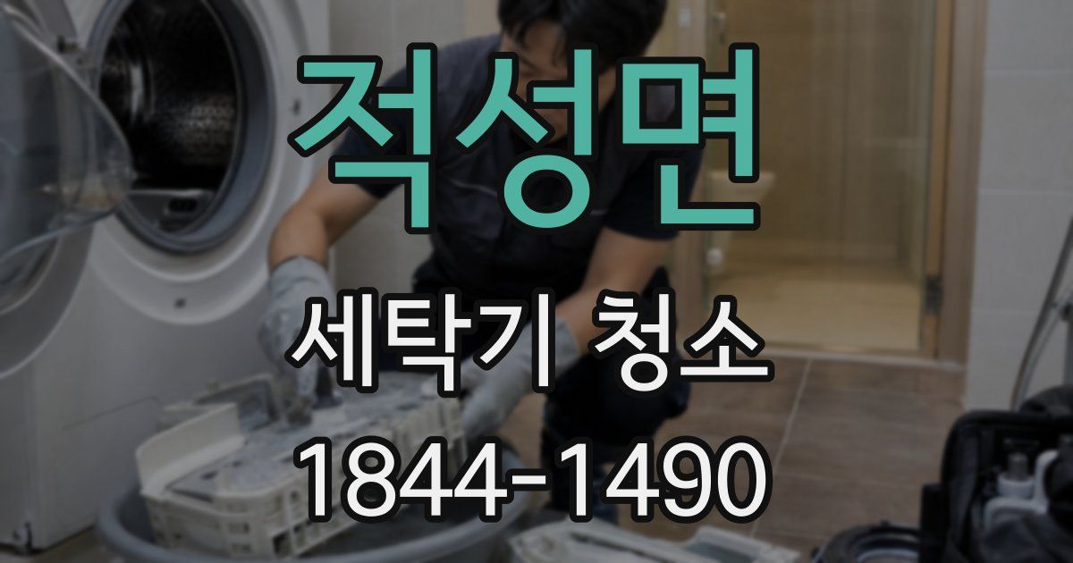 적성면 세탁기 청소