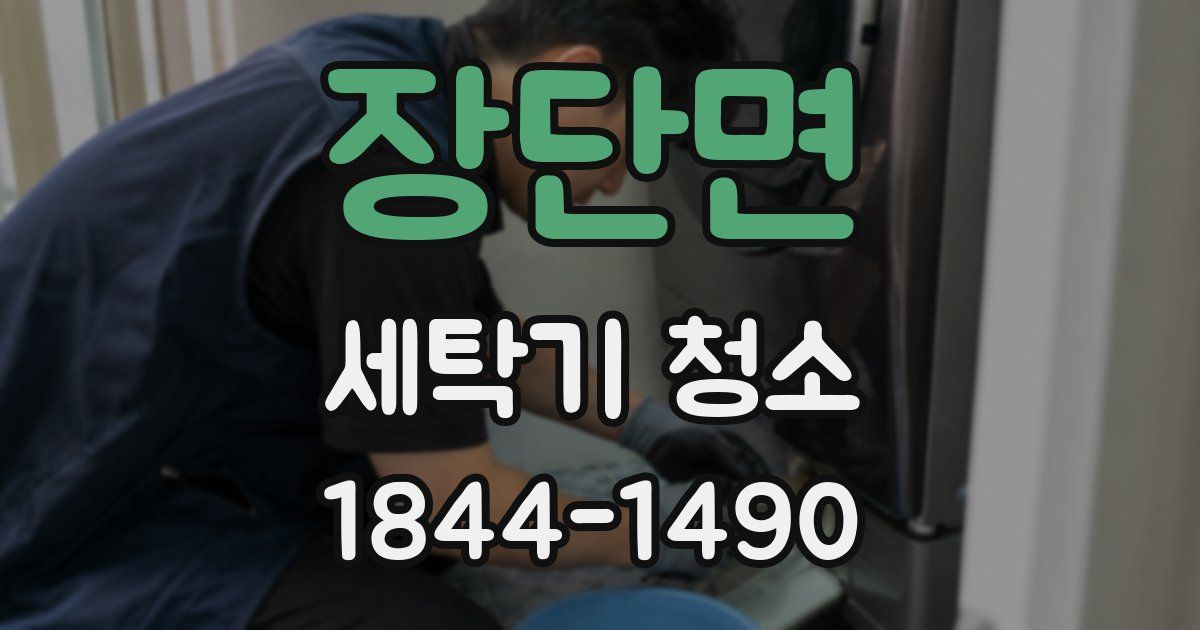 장단면 세탁기 청소
