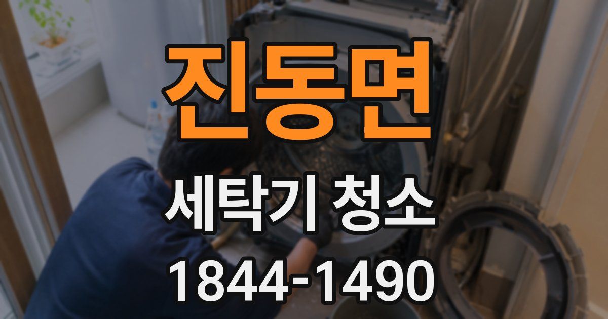 진동면 세탁기 청소