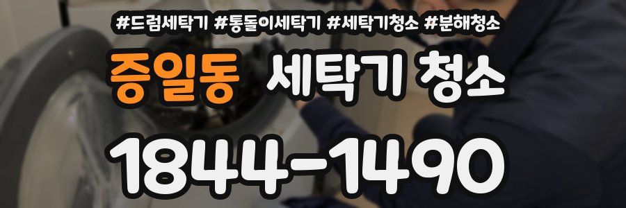 증일동 세탁기 청소