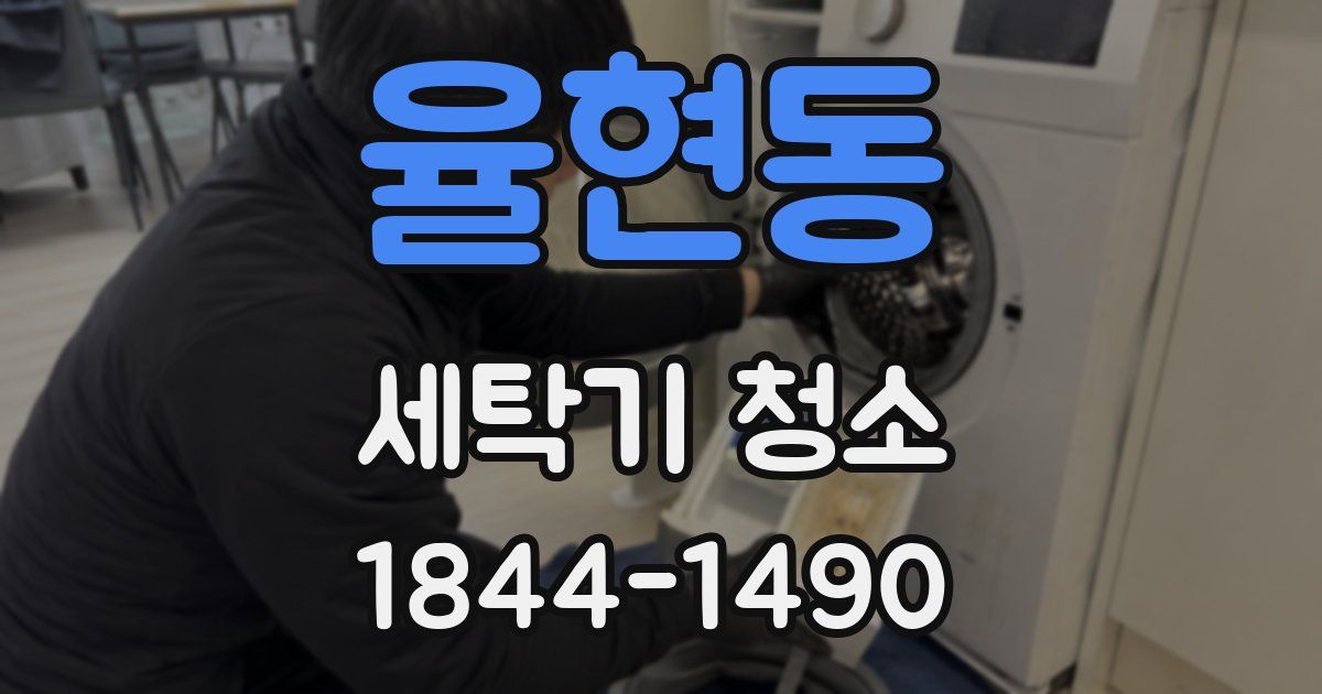 율현동 세탁기 청소