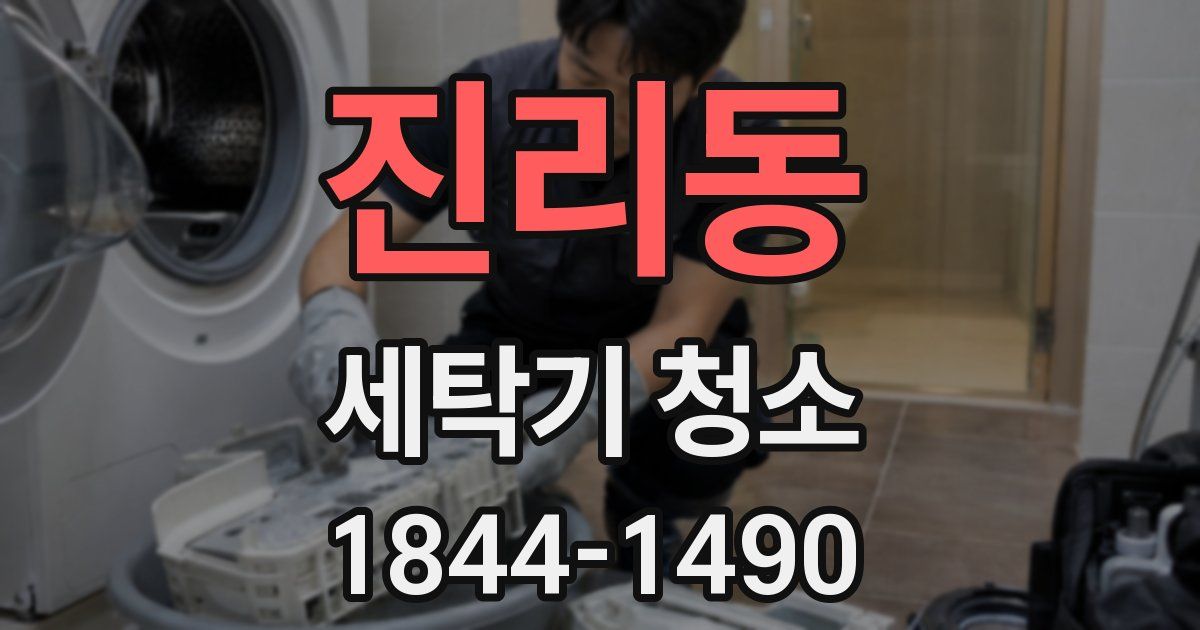 진리동 세탁기 청소