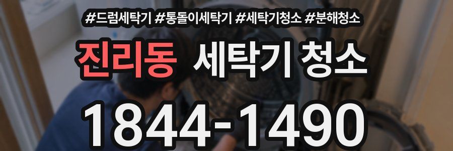 진리동 세탁기 청소
