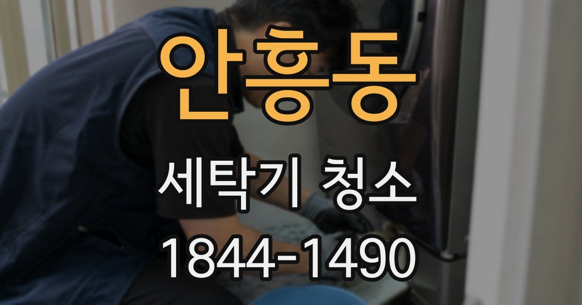 안흥동 세탁기 청소