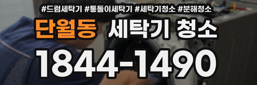 단월동 세탁기 청소