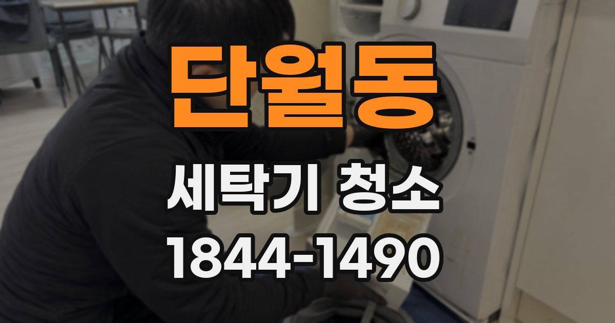 단월동 세탁기 청소