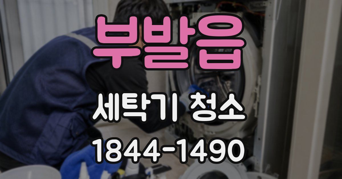 부발읍 세탁기 청소