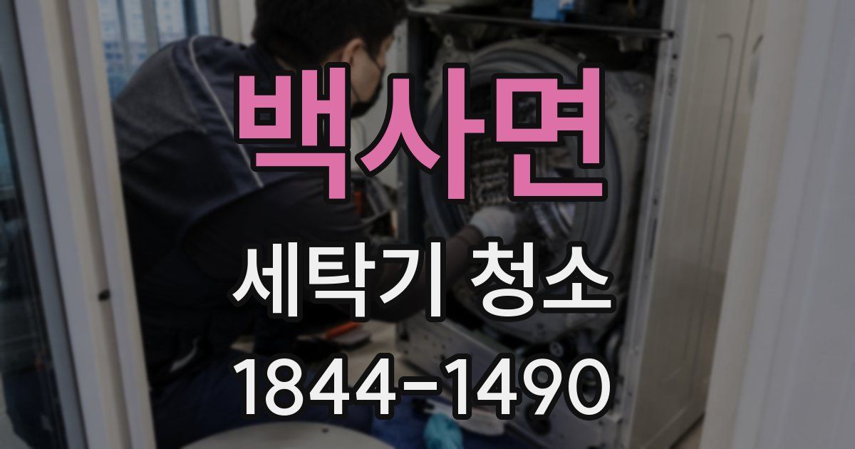 백사면 세탁기 청소