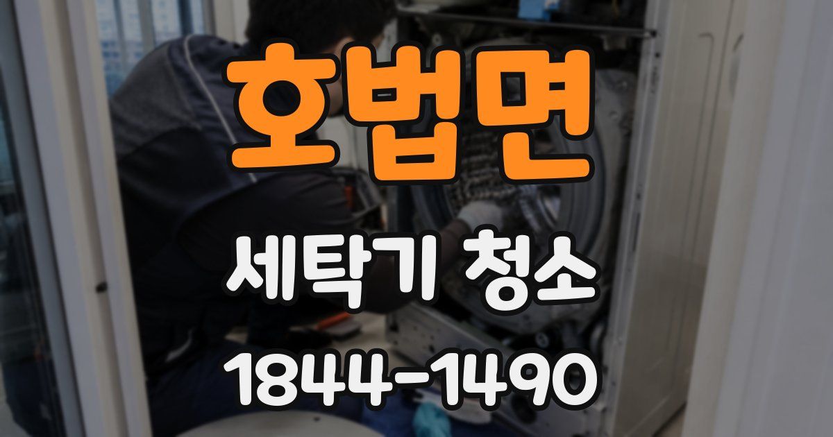 호법면 세탁기 청소