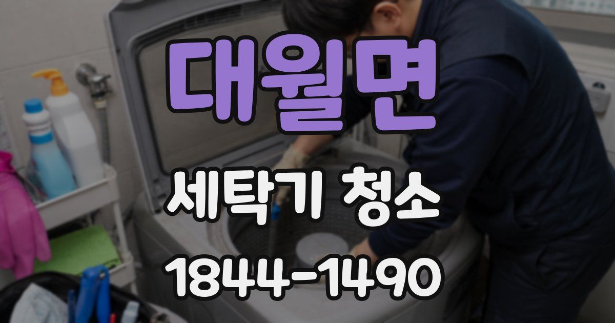 대월면 세탁기 청소