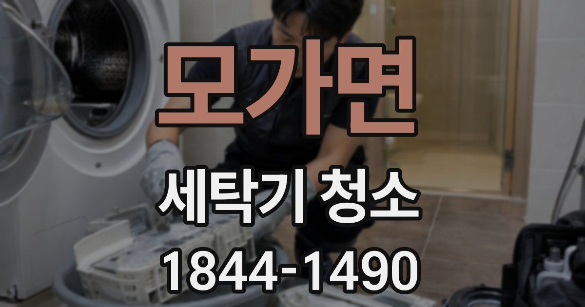 모가면 세탁기 청소