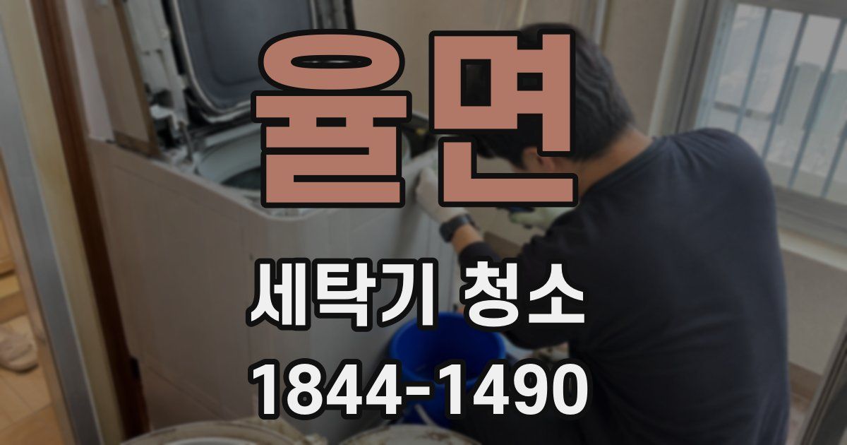 율면 세탁기 청소