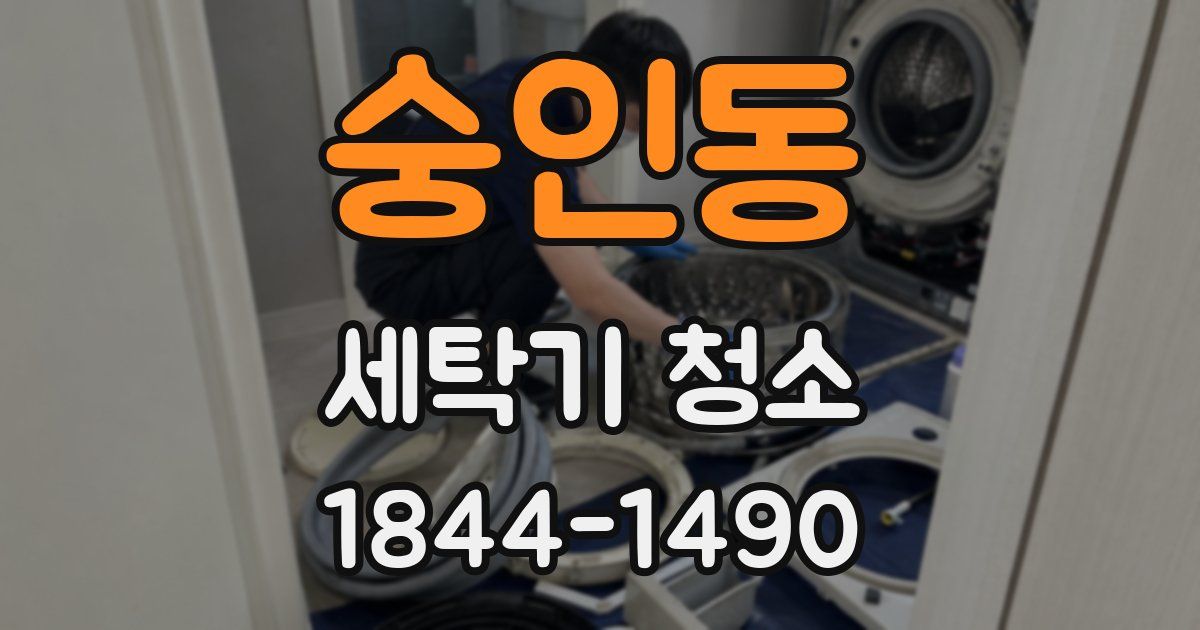 숭인동 세탁기 청소