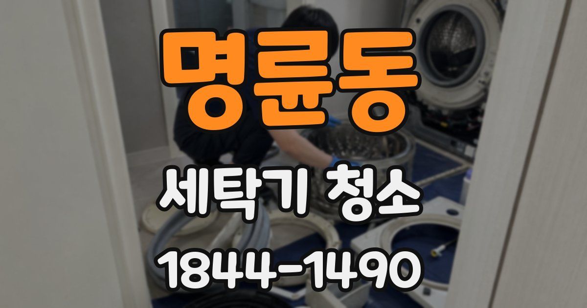 명륜동 세탁기 청소