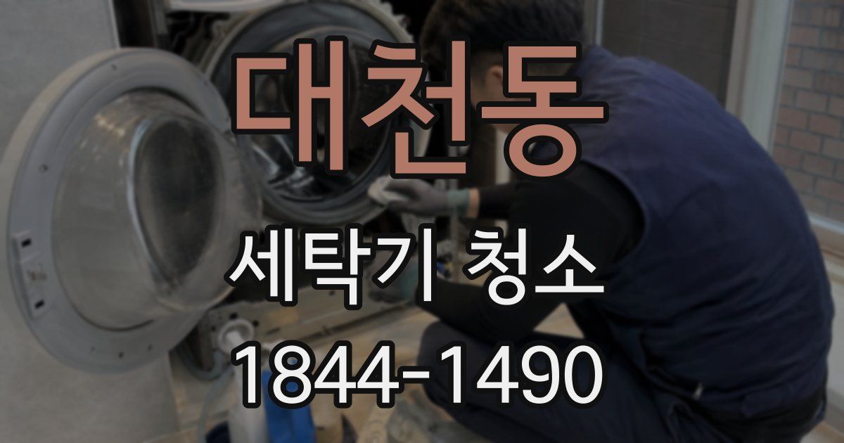 대천동 세탁기 청소