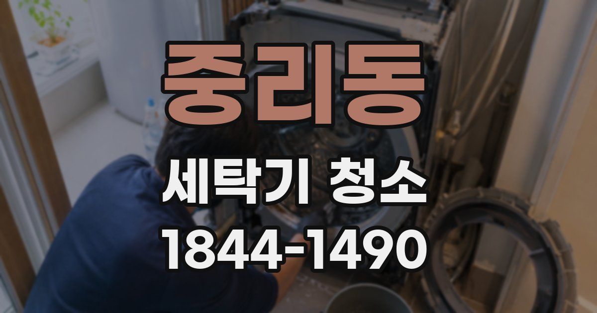 중리동 세탁기 청소