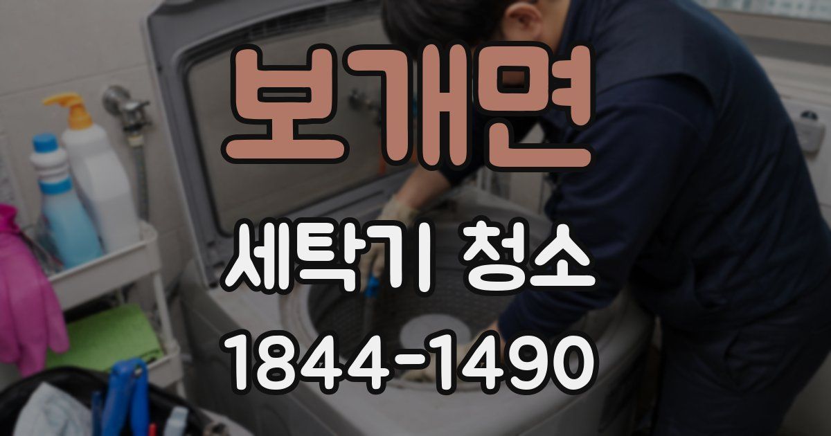 보개면 세탁기 청소