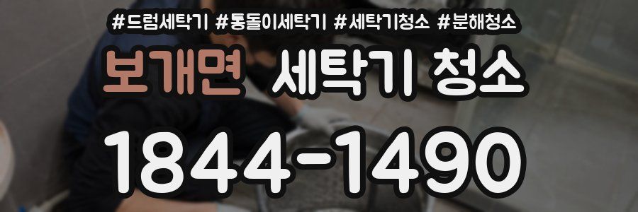 보개면 세탁기 청소