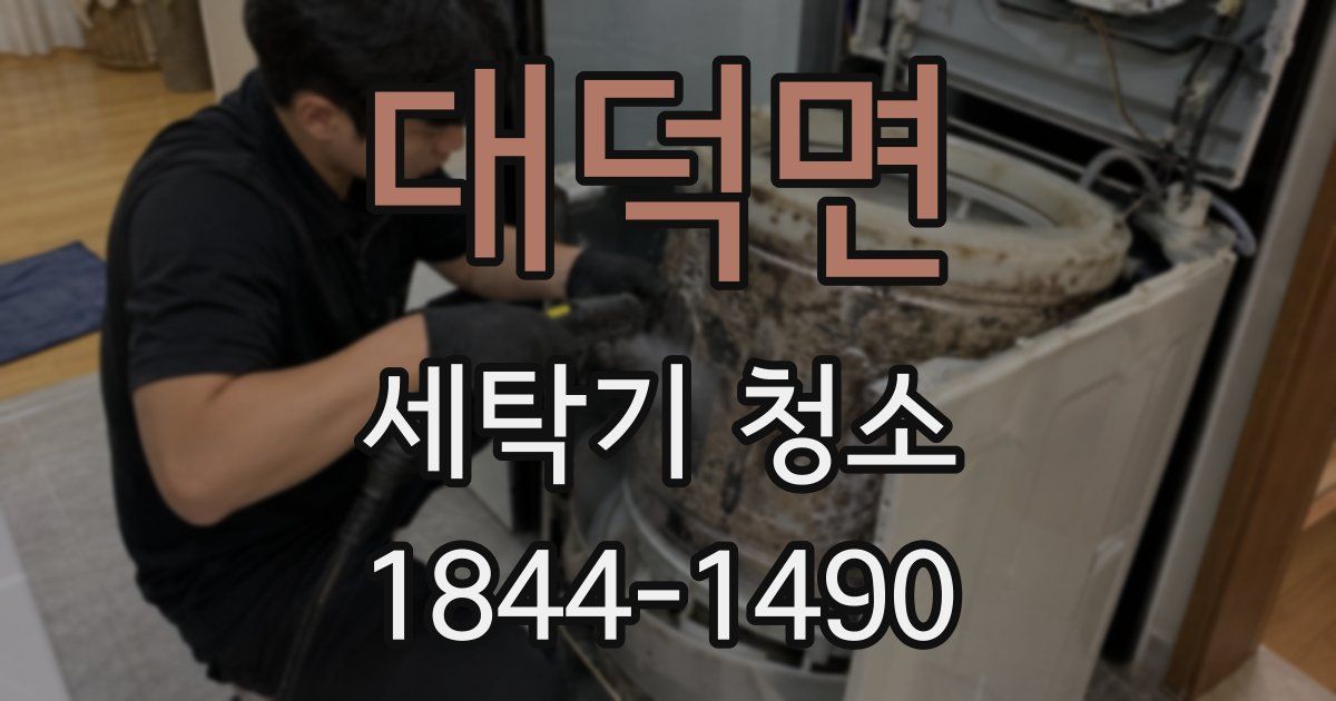 대덕면 세탁기 청소