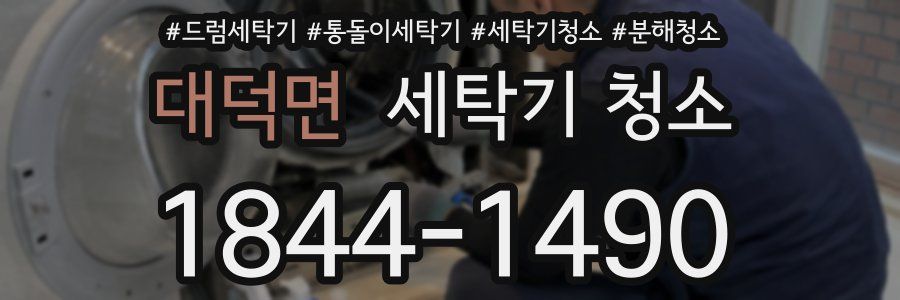 대덕면 세탁기 청소