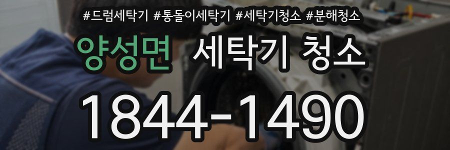 양성면 세탁기 청소
