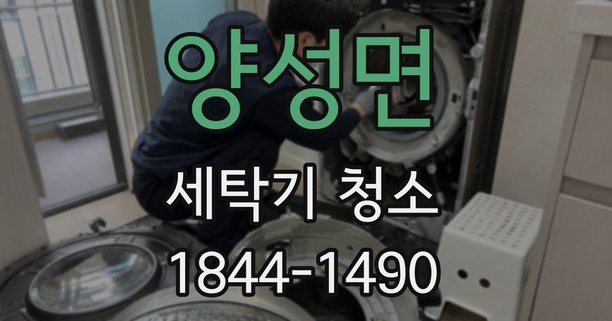 양성면 세탁기 청소