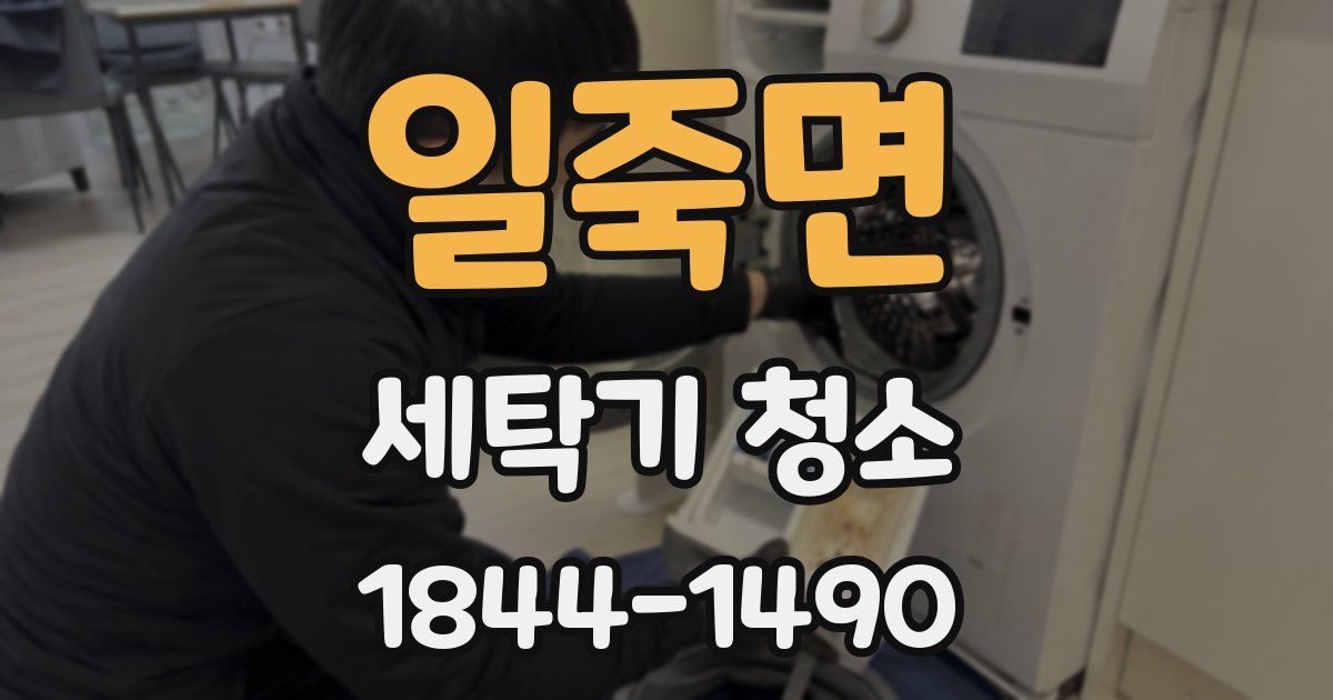 일죽면 세탁기 청소
