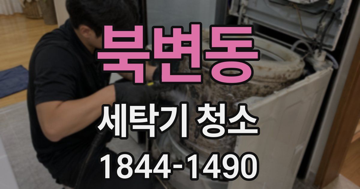북변동 세탁기 청소