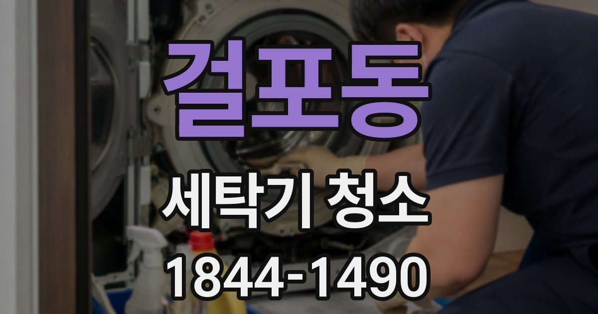 걸포동 세탁기 청소