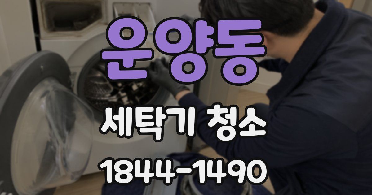 운양동 세탁기 청소