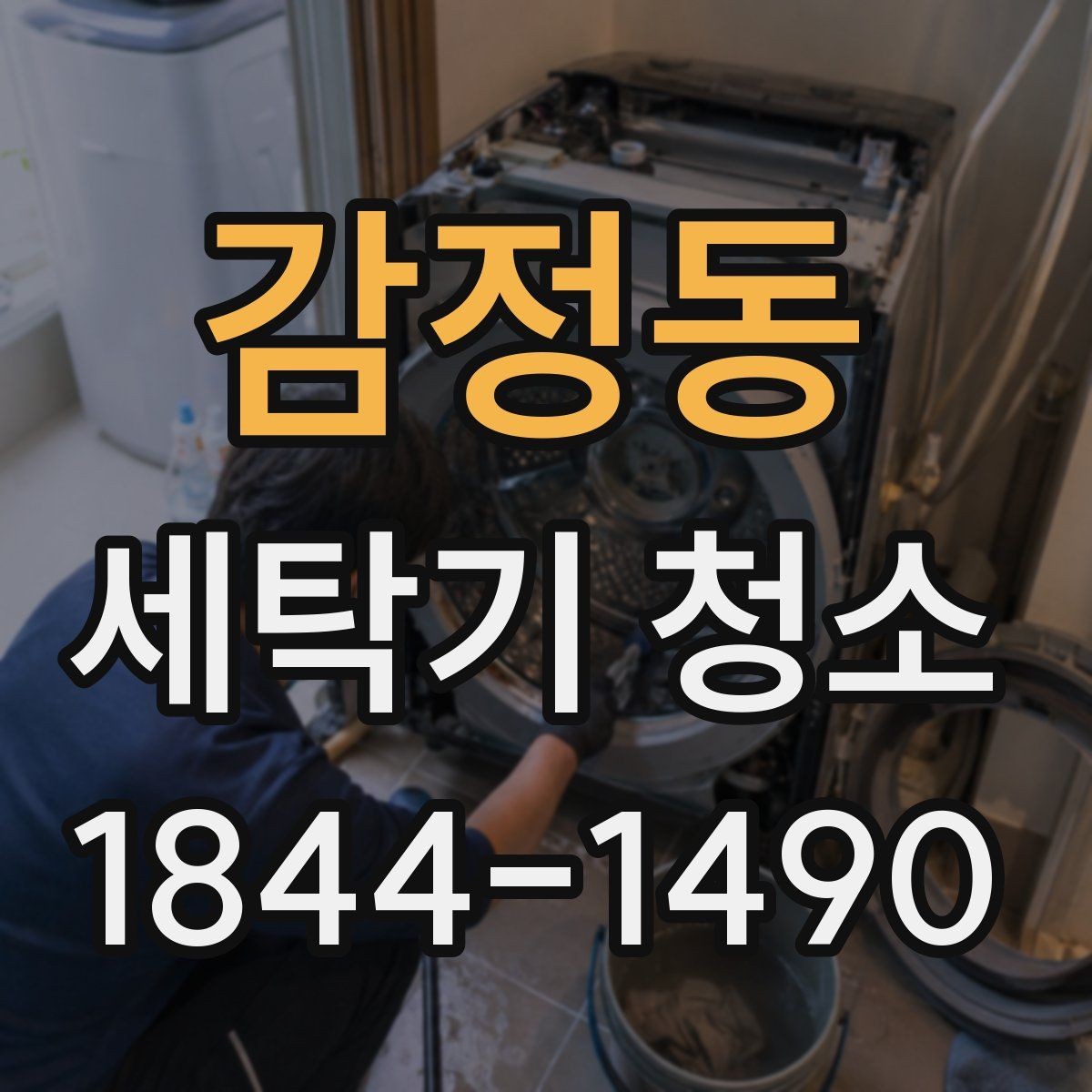 감정동 세탁기 청소 전후 사진으로 비교해 볼 변화 포인트