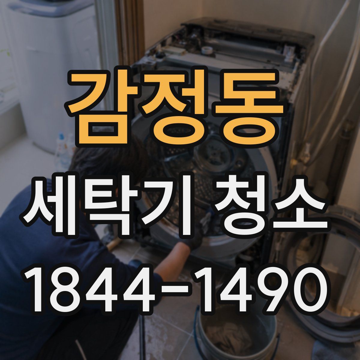 감정동 세탁기 청소