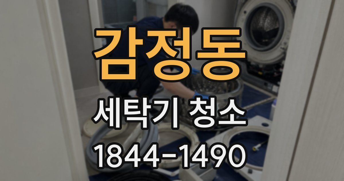 감정동 세탁기 청소