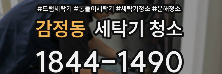 감정동 세탁기 청소