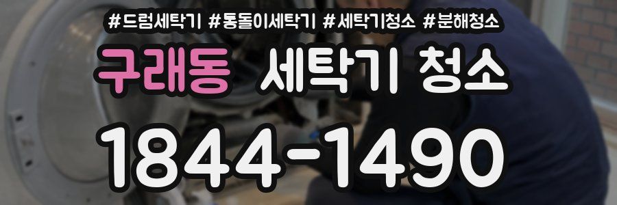 구래동 세탁기 청소