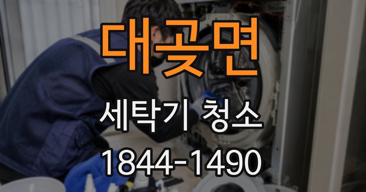 대곶면 세탁기 청소